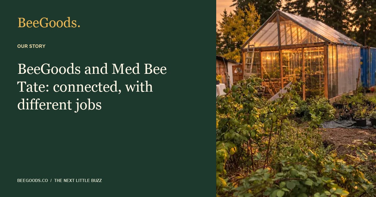 BeeGoods and Med Bee Tate: connected, with different jobs — illustrated editorial guide