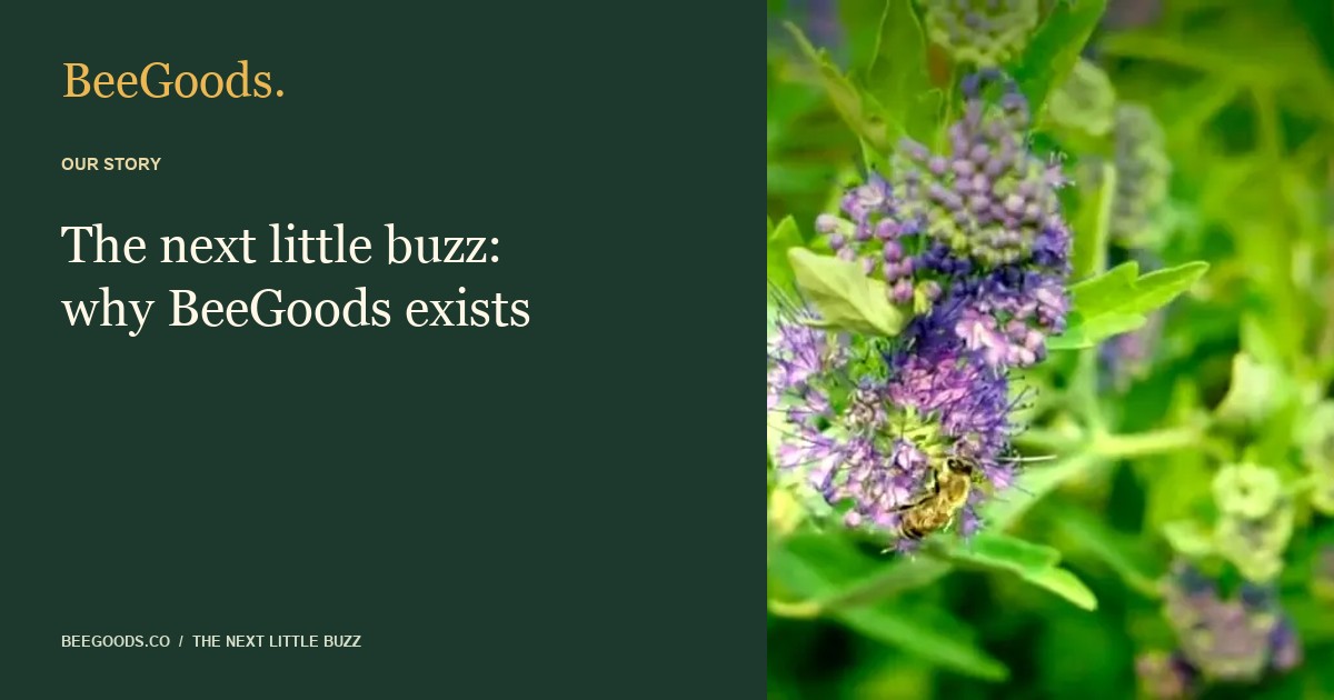 The next little buzz: why BeeGoods exists — illustrated editorial guide