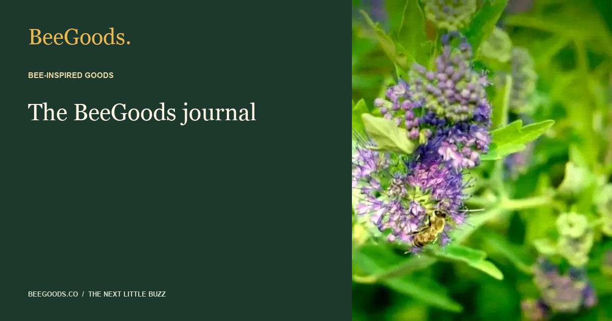 A little food for thought. — BeeGoods editorial visual